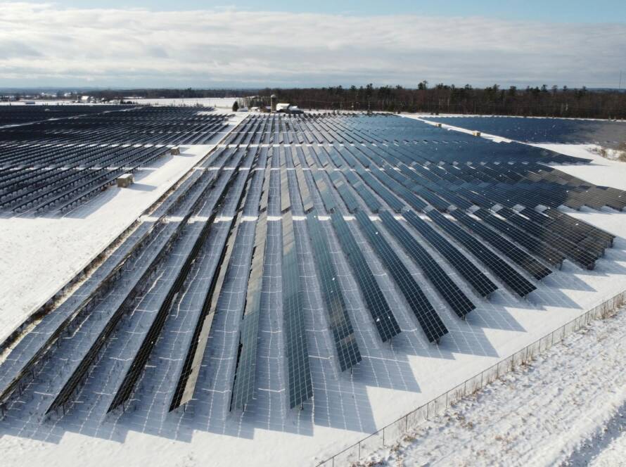 Ghid complet: cum alegi distribuitorul ideal de panouri fotovoltaice în România